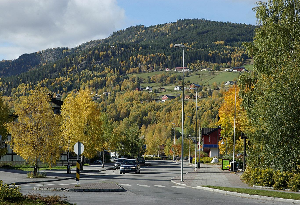 Bilete av Gol sentrum